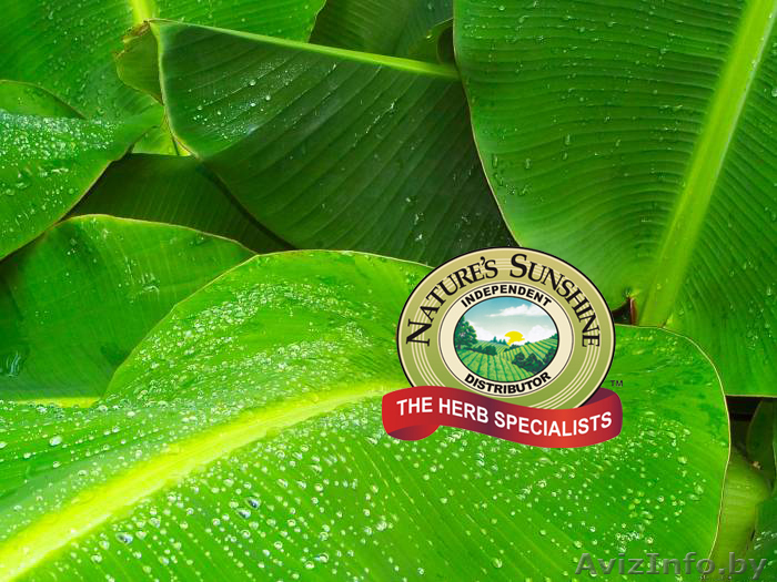 NSP- высококачественная продукция и бизнес в ПОДАРОК! - Изображение #1, Объявление #488400