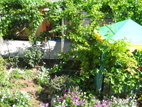 Недорогой отдых в Крыму с.Песчаное - Изображение #1, Объявление #244502