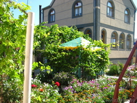 Недорогой отдых в Крыму с.Песчаное - Изображение #2, Объявление #244502