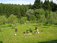 Дом, баня в аренду   - Изображение #4, Объявление #352426