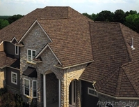 Гибкие кровли от элитных до недорогих акции - Изображение #1, Объявление #622043