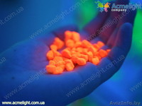 Бизнес идеи для начинающих в Белоруссии  - Изображение #1, Объявление #721046