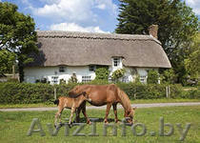 Уже и в Могилёве Окна на кровлю Велюкс. утеплители - Изображение #9, Объявление #622066