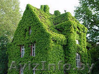 Уже и в Могилёве Окна на кровлю Велюкс. утеплители - Изображение #10, Объявление #622066