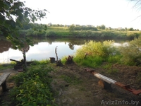Продается дача на берегу Днепра в Белоруссии. 9.500 $. - Изображение #3, Объявление #917009