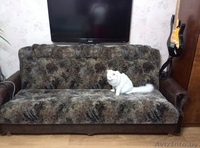 Продам мебель хорошую - Изображение #1, Объявление #1074956