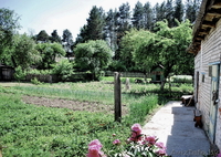 Дом в г. Орша 65 кв.м - Изображение #5, Объявление #1277161