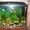 аквариум на 150 литров - Изображение #3, Объявление #1217513