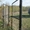 Ворота и калитки с доставкой от производителя в Орше - Изображение #1, Объявление #1476228