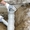 Монтаж систем канализации недорого - Изображение #2, Объявление #1641428