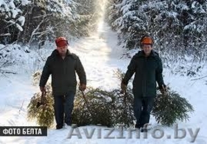 рабочие на деревообрабатывающее предприятие   