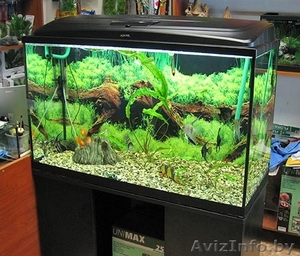 аквариум на 150 литров - Изображение #1, Объявление #1217513