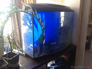 аквариум на 150 литров - Изображение #2, Объявление #1217513