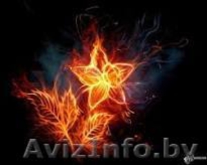 Оклейка обоями.