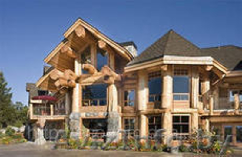 Кровля Битумная "Тегола" лидер продаж в европе,у нас есть всё - Изображение #5, Объявление #74148