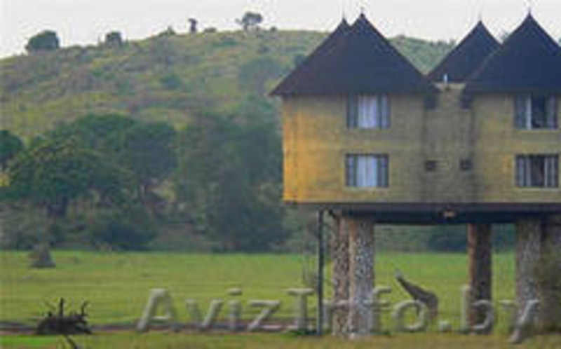 Гибкие кровли от элитных до недорогих акции - Изображение #9, Объявление #622043