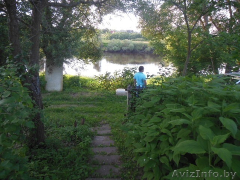 Продается дача на берегу Днепра в Белоруссии. 9.500 $. - Изображение #1, Объявление #917009