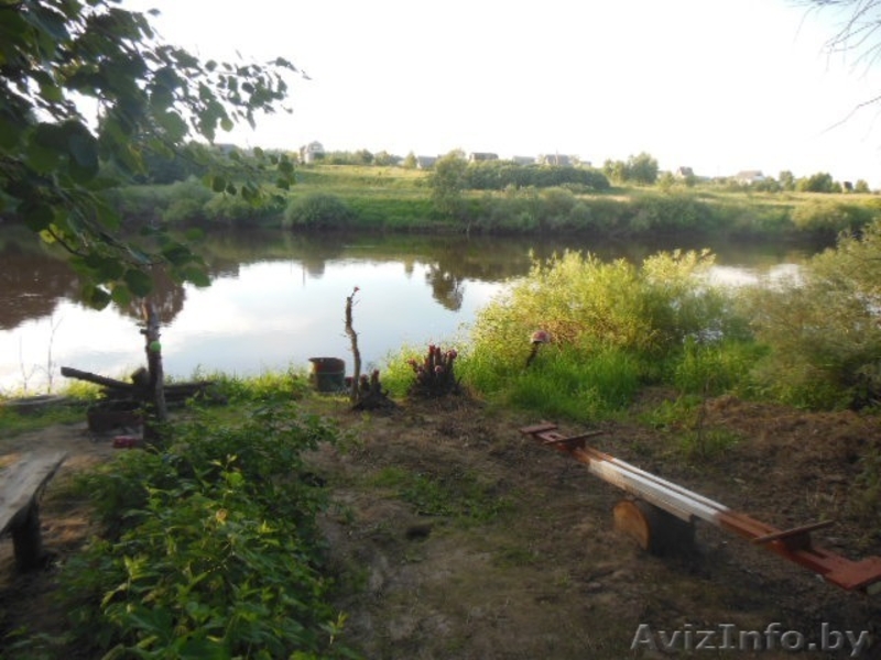 Продается дача на берегу Днепра в Белоруссии. 9.500 $. - Изображение #3, Объявление #917009