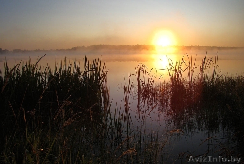 продам недорого приватизированную 3-х комнатную квартиру рядом с озером  - Изображение #1, Объявление #989521