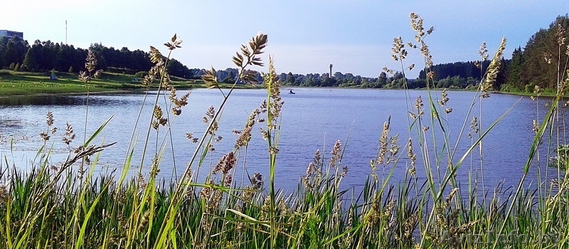 загородный дом в г.п. коханово - Изображение #10, Объявление #1146328