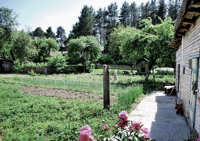 Дом в г. Орша 65 кв.м - Изображение #5, Объявление #1277161