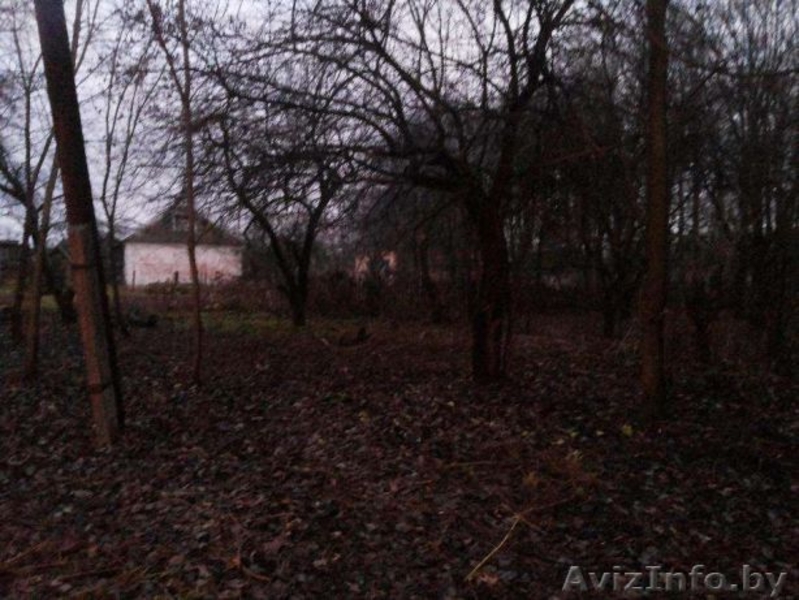 Дом и участок в Орше - Изображение #4, Объявление #1354353
