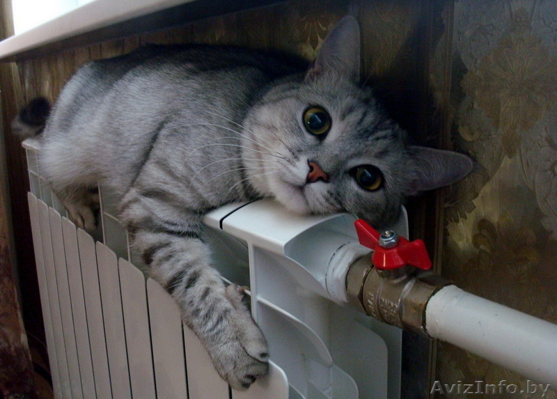 Монтаж системы отопления под ключ и поэтапно - Изображение #1, Объявление #1641426